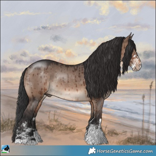 Horse Color:Brown Dun Mushroom Sabino Rabicano Brindle 