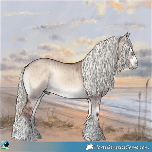 Horse Color:Liver Red Dun Onyx Mushroom Sabino Splash Rabicano Brindle 