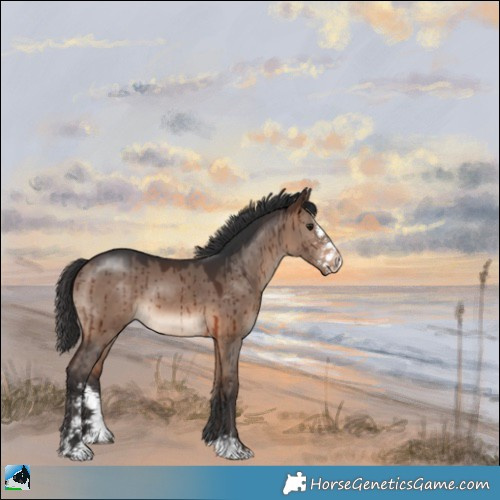 Horse Color:Brown Dun Mushroom Sabino Brindle 