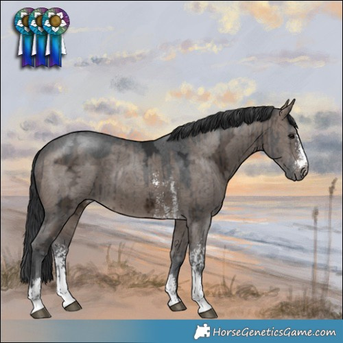 Horse Color:Brown Ice Dun Sabino Rabicano Brindle 