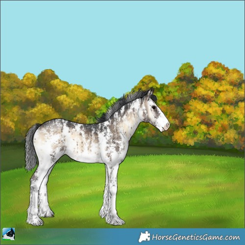 Horse Color:Brown Onyx Sabino Rabicano Brindle 