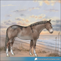 Horse Color:Liver Red Dun Mushroom Sabino Rabicano 