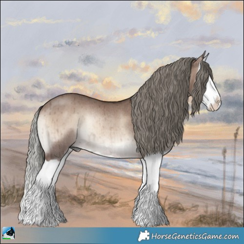 Horse Color:Liver Red Dun Onyx Mushroom Splash Rabicano Brindle 