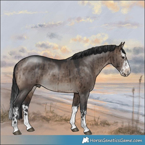 Horse Color:Brown Dun Mushroom Sabino Splash Rabicano Brindle 