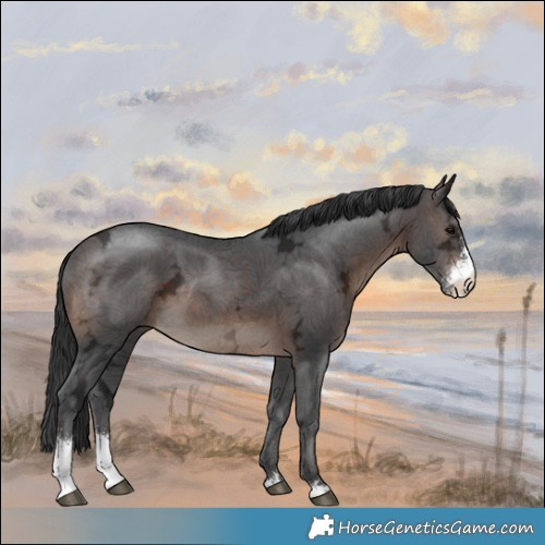 Horse Color:Brown Ice Mushroom Sabino Rabicano