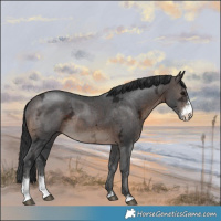 Horse Color:Brown Ice Mushroom Sabino Rabicano