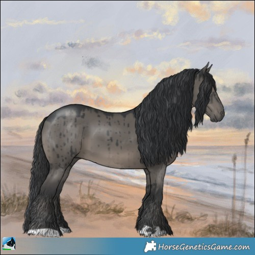Horse Color:Grullo Mushroom Brindle