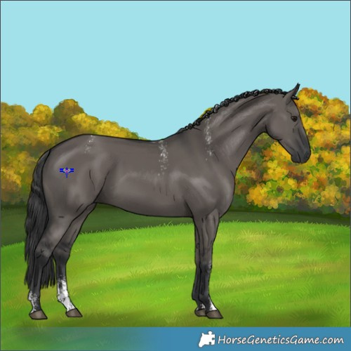 Horse Color:Powder White Grullo 