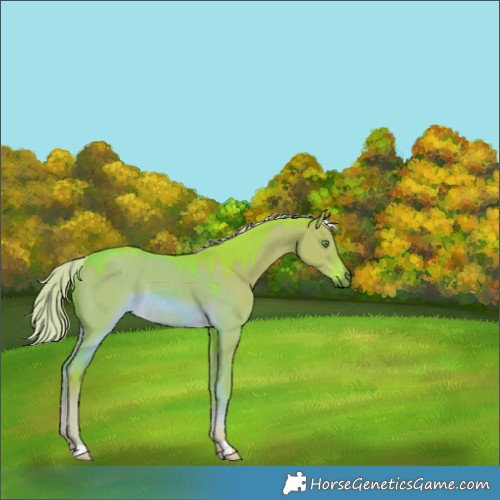 Horse Color:Watercolor Chocolate Palomino Dun Rabicano 