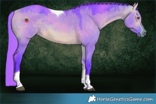 Horse Color:Watercolor Chocolate Buckskin Dun Tobiano Rabicano 