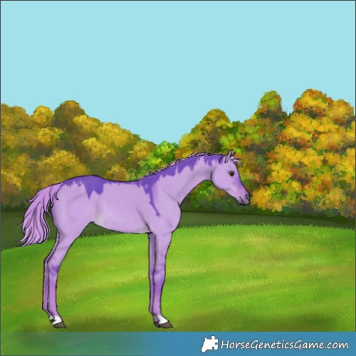 Horse Color:Watercolor Liver Red Dun Rabicano 