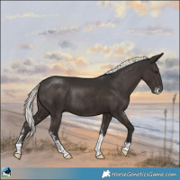 Horse Color:Liver Chestnut Mushroom Sabino Rabicano