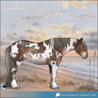 Horse Color:White Spotted Liver Chestnut Mushroom Rabicano