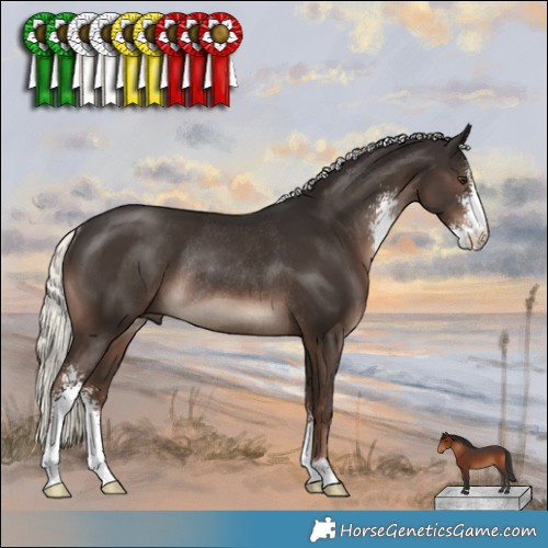 Horse Color:Liver Chestnut Mushroom Sabino Rabicano 