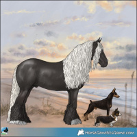Horse Color:Liver Chestnut Mushroom Rabicano 