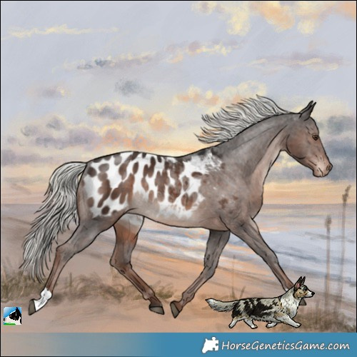 Horse Color:Liver Chestnut Mushroom Blanket