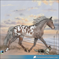 Horse Color:Liver Chestnut Mushroom Blanket 