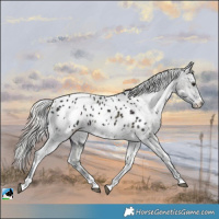 Horse Color:White Spotted Midnight Liver Red Onyx Ice Mushroom Appaloosa 