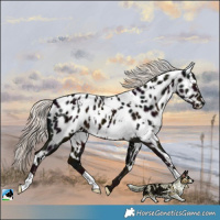 Horse Color:White Spotted Midnight Liver Chestnut Mushroom Near Leopard 
