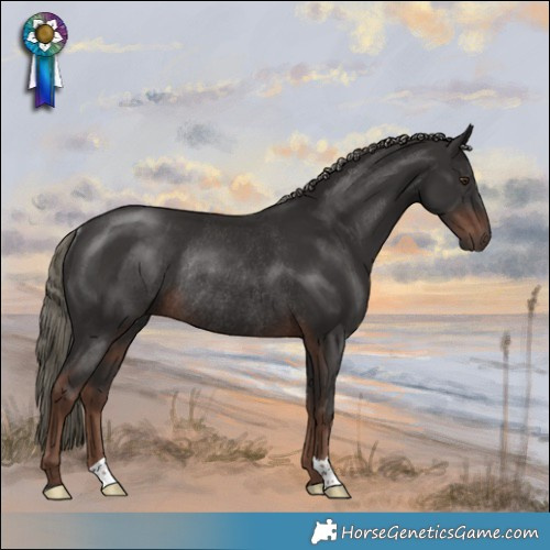 Horse Color:Liver Chestnut Mushroom Rabicano 