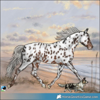 Horse Color:Liver Chestnut Mushroom Near Leopard