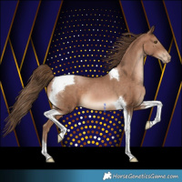 Horse Color:Brown Pearl Tobiano 
