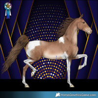 Horse Color:Brown Pearl Tobiano 
