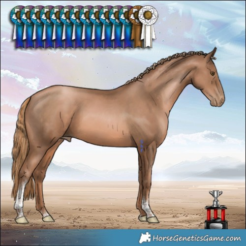 Horse Color:Liver Chestnut Pearl Tobiano 