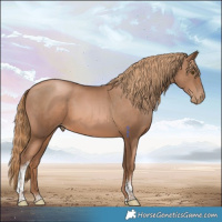 Horse Color:Liver Chestnut Pearl Tobiano 