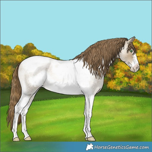 Horse Color:Smoky Blue Roan Pearl Tobiano Frame Rabicano 