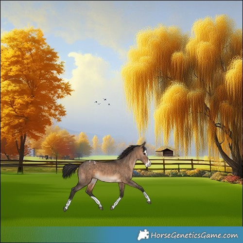 Horse Color:Brown Dun Splash Varnish 