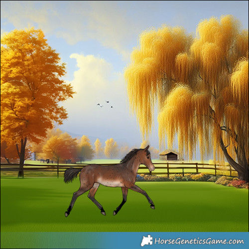 Horse Color:Void Brown Tobiano Snowflake Varnish