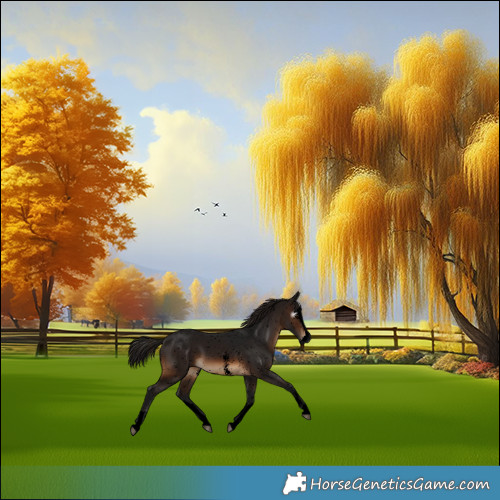 Horse Color:Gray Void Brown Sabino Splash Snowflake Varnish