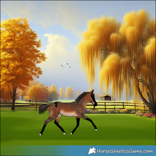 Horse Color:Void Bay Splash Varnish 