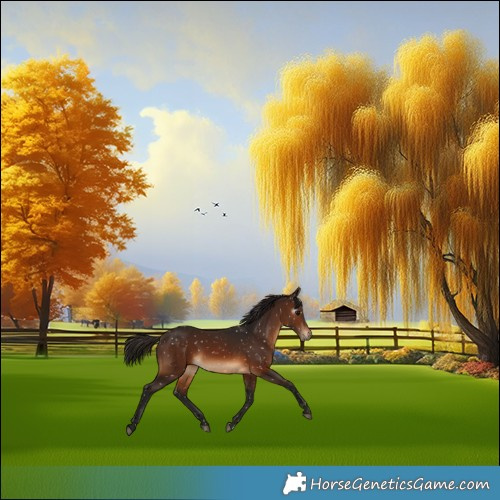 Horse Color:Gray Bay Snowflake Varnish 