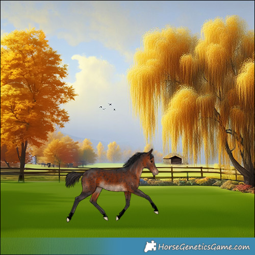 Horse Color:Void Brown Snowflake Varnish Rabicano 