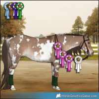 Horse Color:White Spotted Liver Red Dun Rabicano 