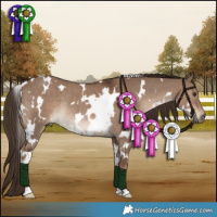 Horse Color:White Spotted Liver Red Dun Rabicano 