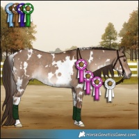 Horse Color:White Spotted Liver Red Dun Rabicano