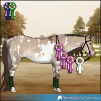 Horse Color:White Spotted Liver Red Dun Rabicano 