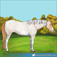 Horse Color:Red Roan Pearl Tobiano Frame 