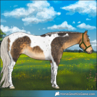 Horse Color:Silver Buckskin Tobiano 