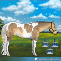 Horse Color:Silver Buckskin Dun Tobiano Rabicano 