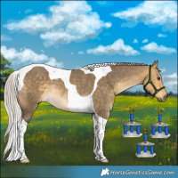 Horse Color:Silver Buckskin Dun Tobiano Rabicano