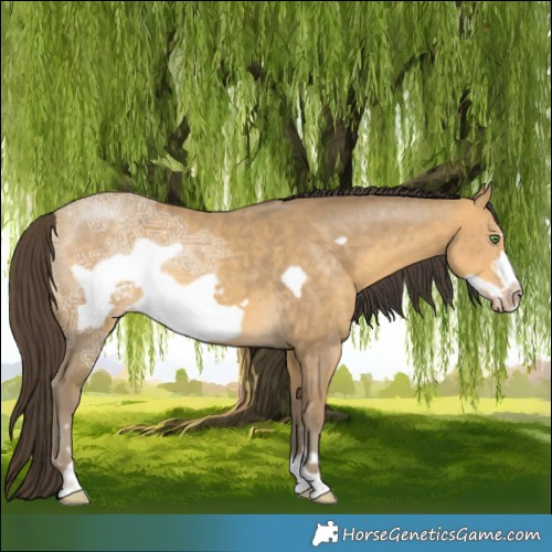 Horse Color:Sable Cream Champagne Ice Frame