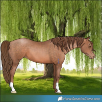 Horse Color:Brown Pearl 