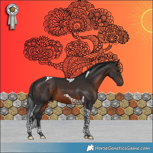 Horse Color:Brown Tobiano 
