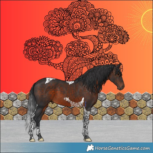 Horse Color:Brown Tobiano 