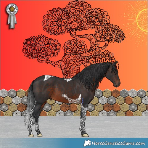 Horse Color:Brown Tobiano 