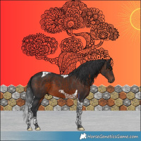 Horse Color:Brown Tobiano